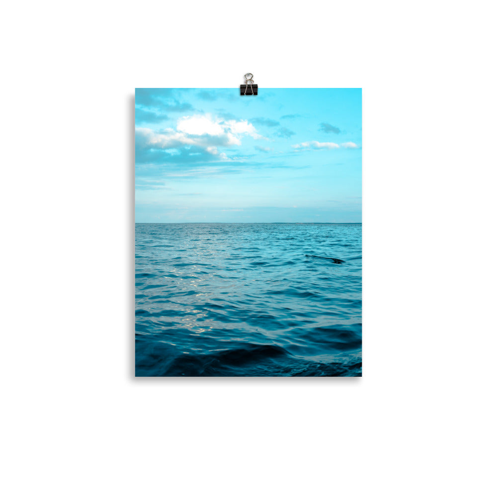 VitaminSea
