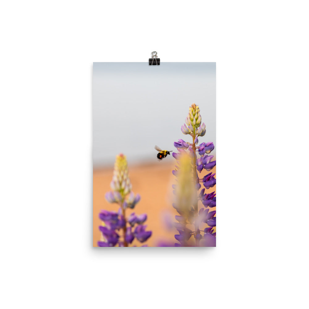 Bumble Bee