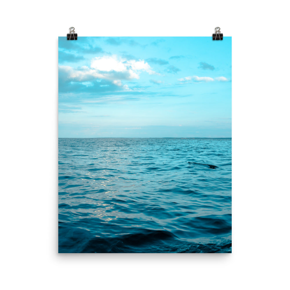 VitaminSea
