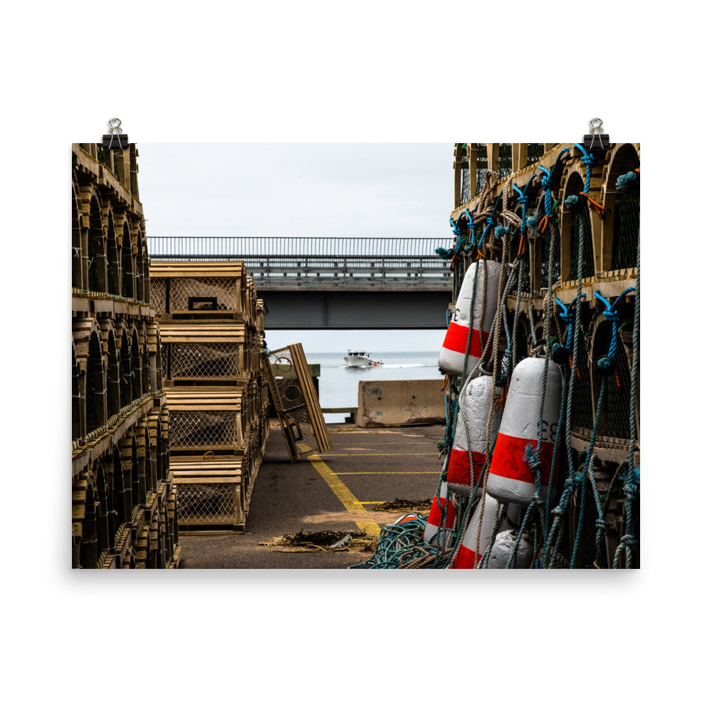 Covehead4
