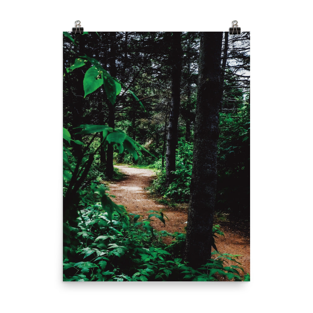 RobinsonIsland2