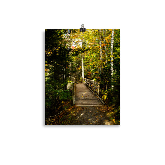 MooneysPond5