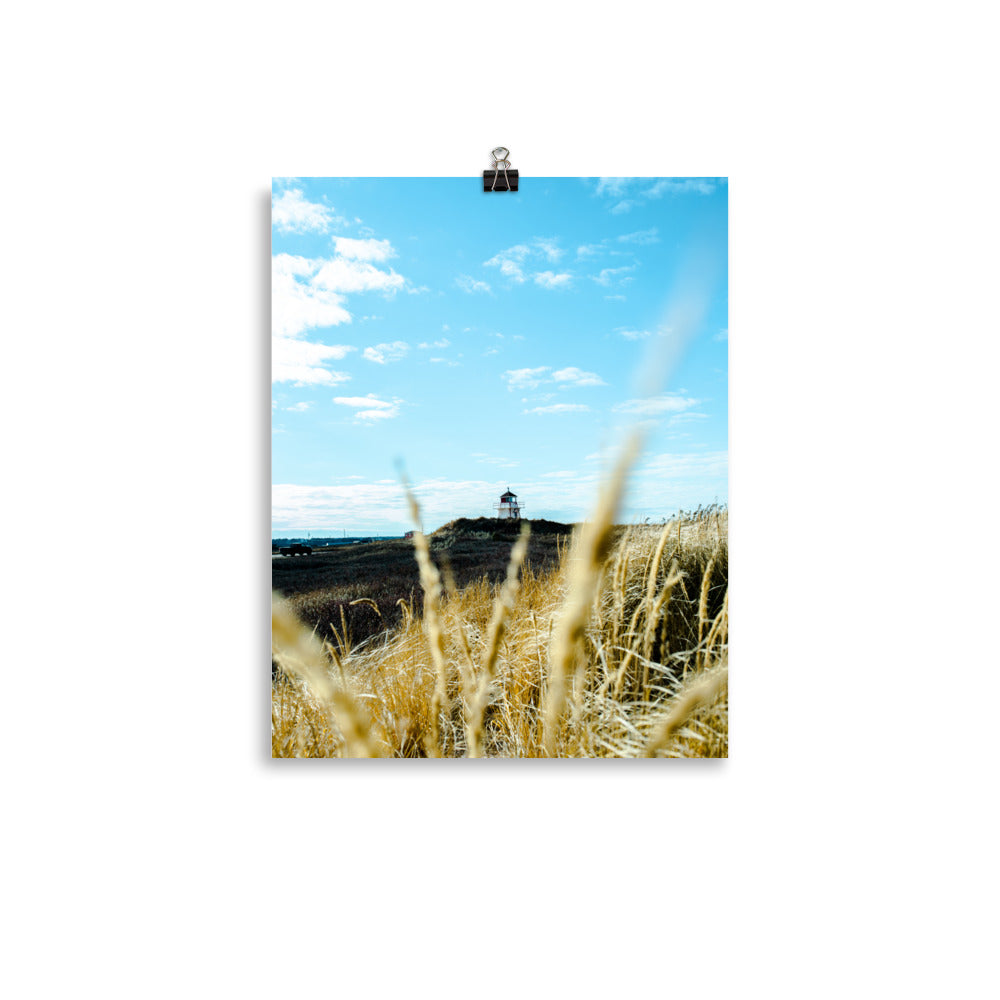 Covehead5