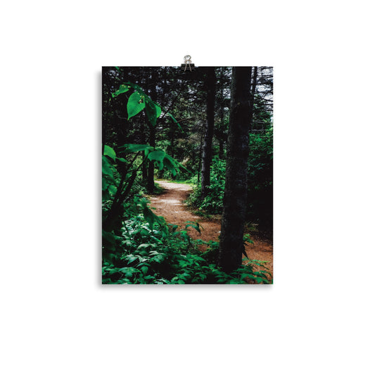 RobinsonIsland2