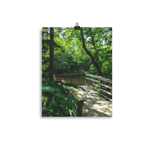 MooneysPond8