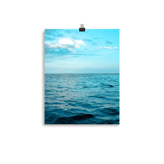 VitaminSea