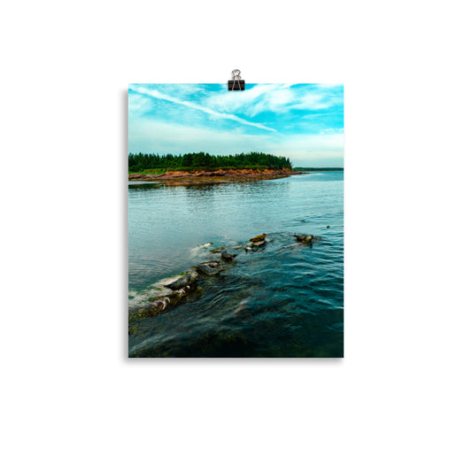 Seals 2