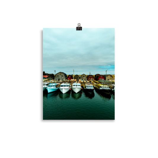 Malpeque Harbour