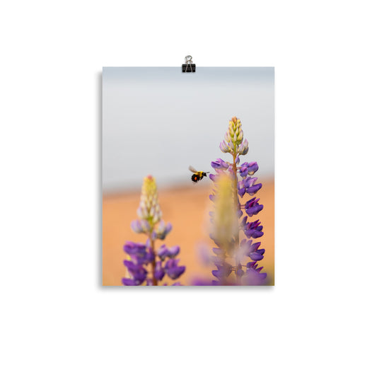 Bumble Bee