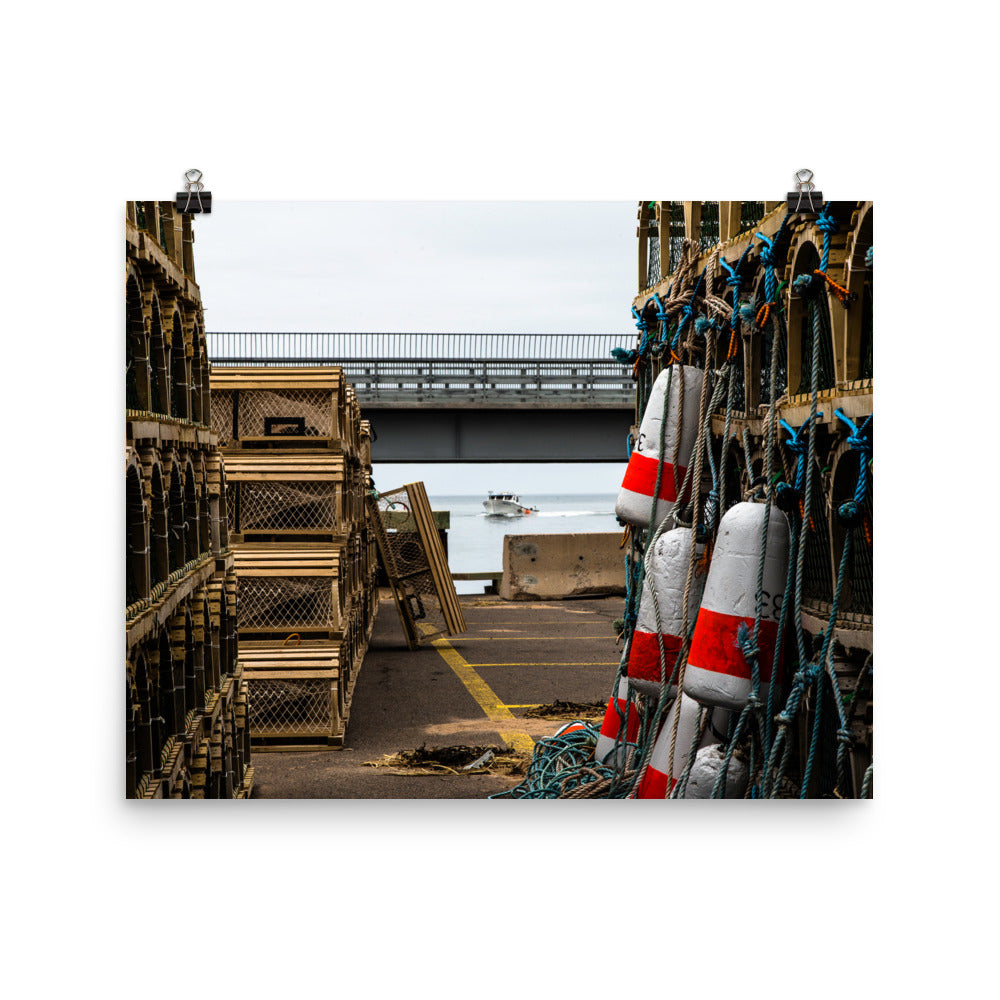 Covehead4