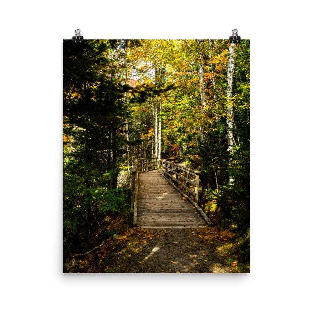 MooneysPond5