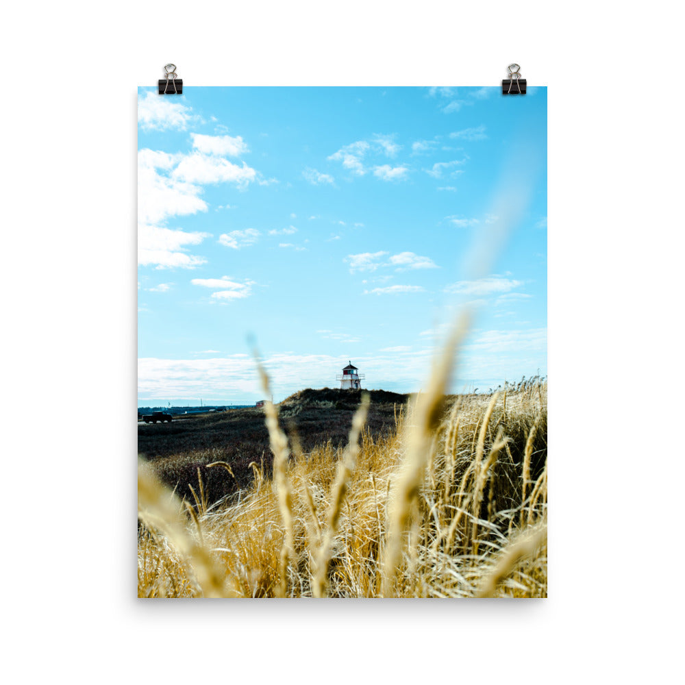 Covehead5