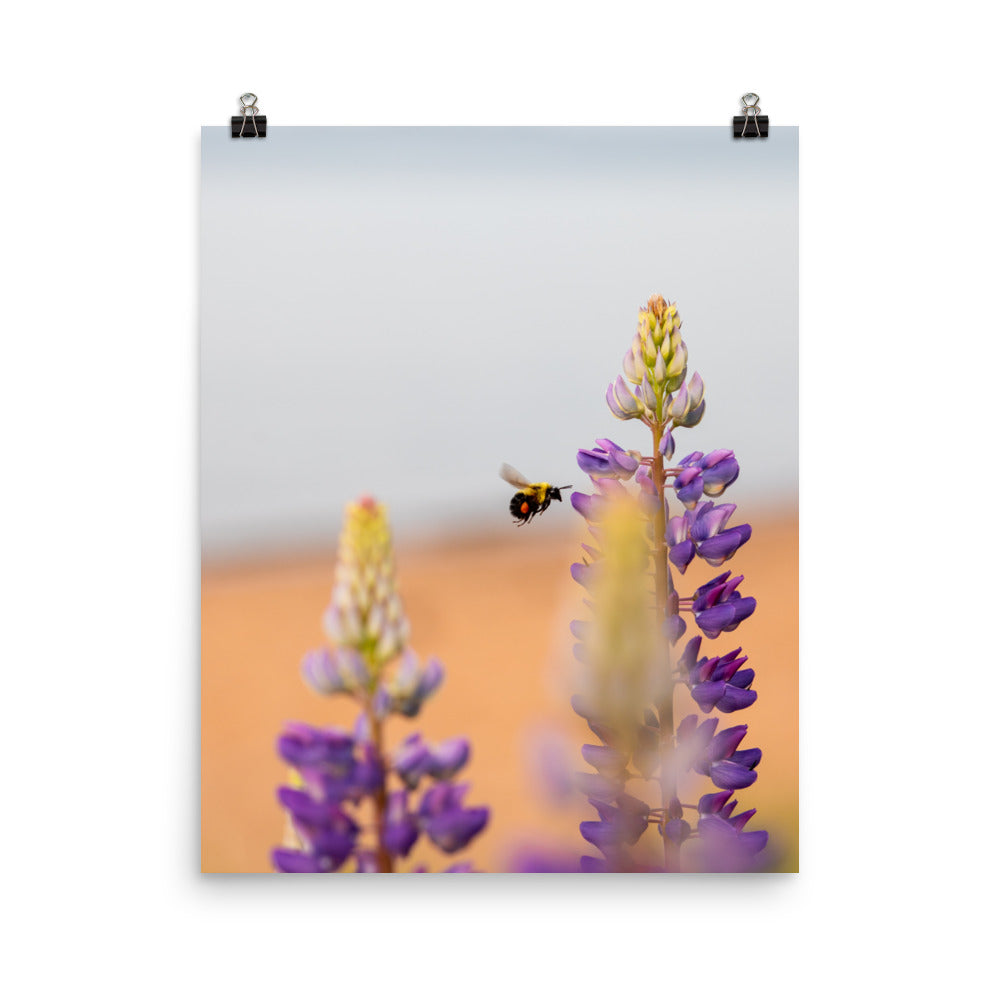 Bumble Bee