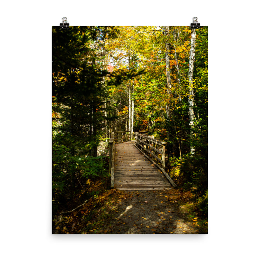 MooneysPond5