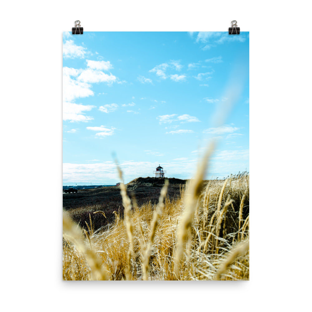 Covehead5