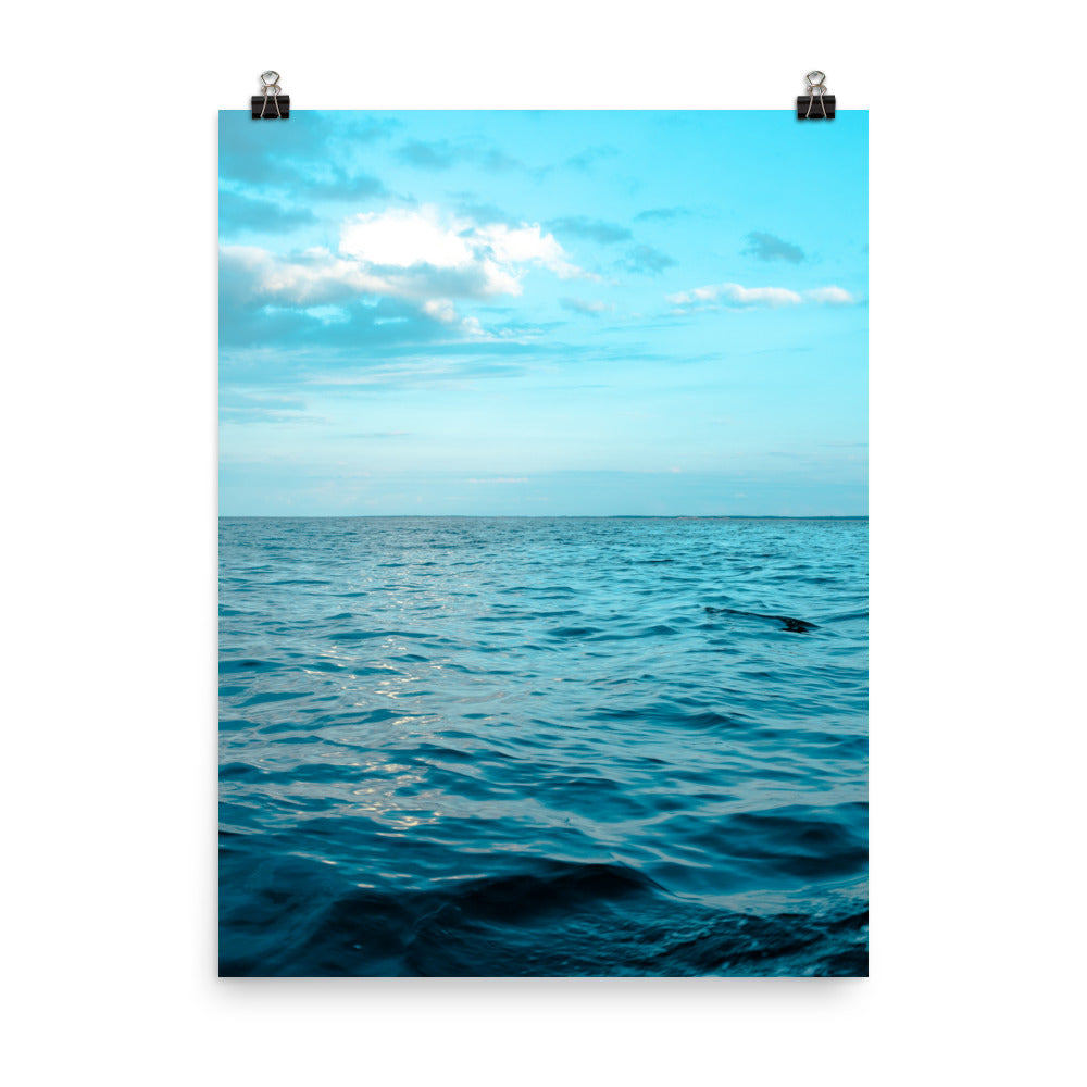 VitaminSea