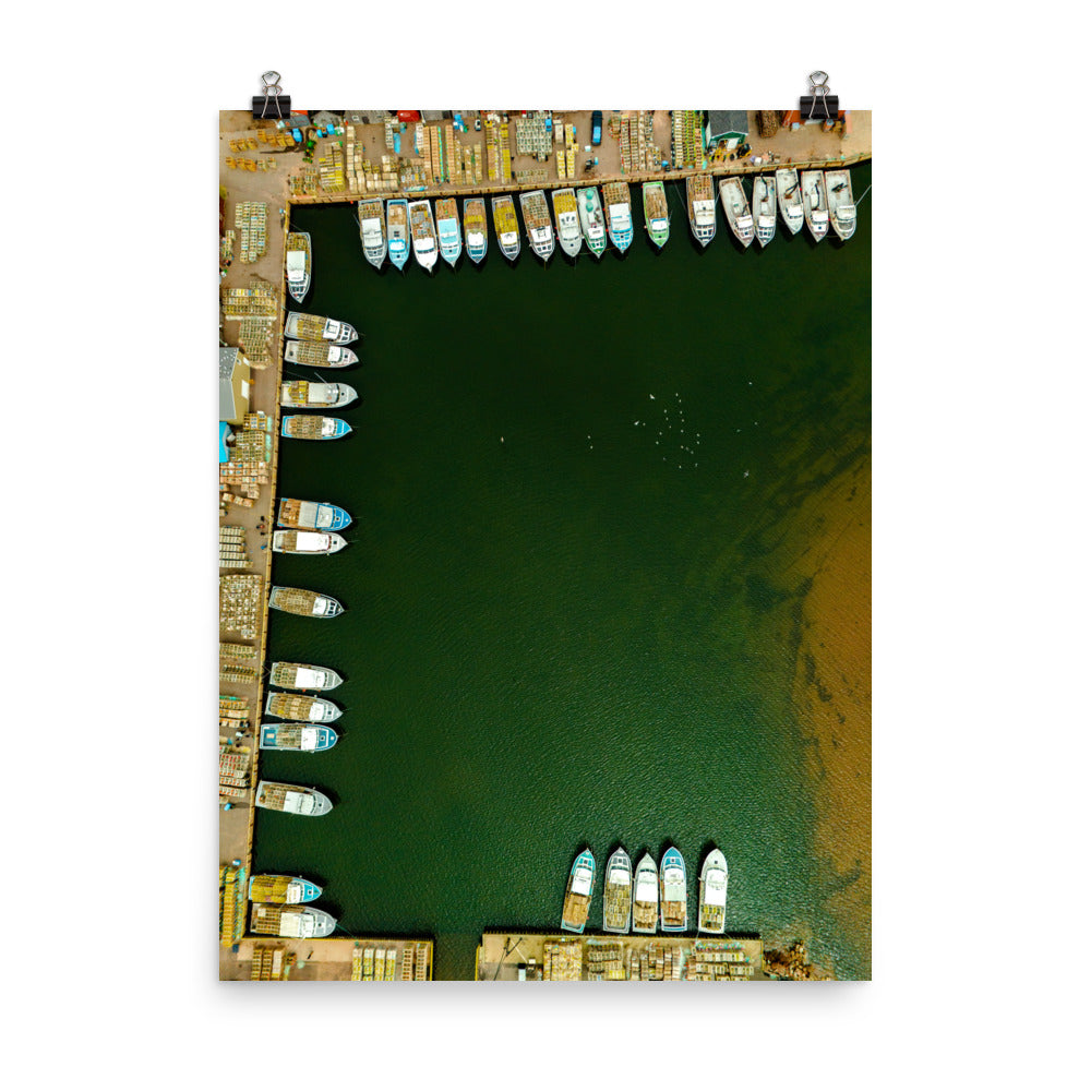 Malpeque Harbour