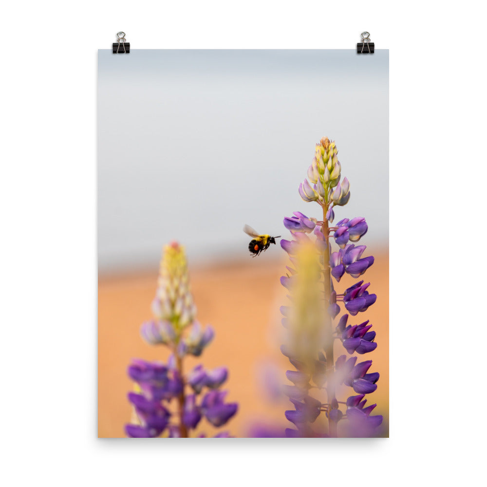Bumble Bee